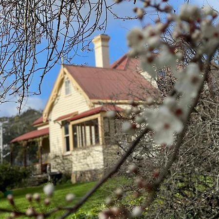Cambridge House Breakfast & Bed Bed and Breakfast Geeveston Εξωτερικό φωτογραφία