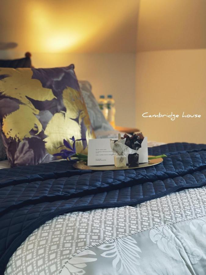 Cambridge House Breakfast & Bed Bed and Breakfast Geeveston Εξωτερικό φωτογραφία