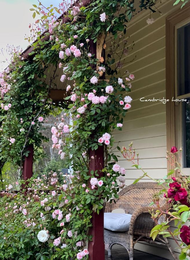 Cambridge House Breakfast & Bed Bed and Breakfast Geeveston Εξωτερικό φωτογραφία