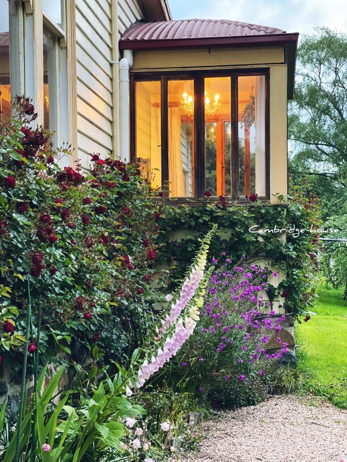 Cambridge House Breakfast & Bed Bed and Breakfast Geeveston Εξωτερικό φωτογραφία