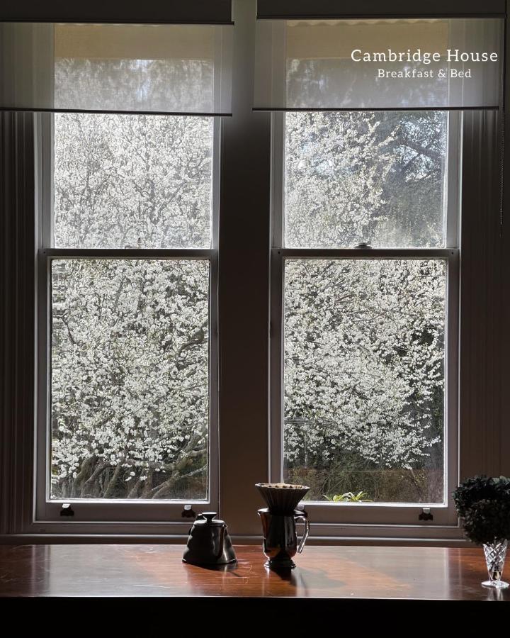 Cambridge House Breakfast & Bed Bed and Breakfast Geeveston Εξωτερικό φωτογραφία