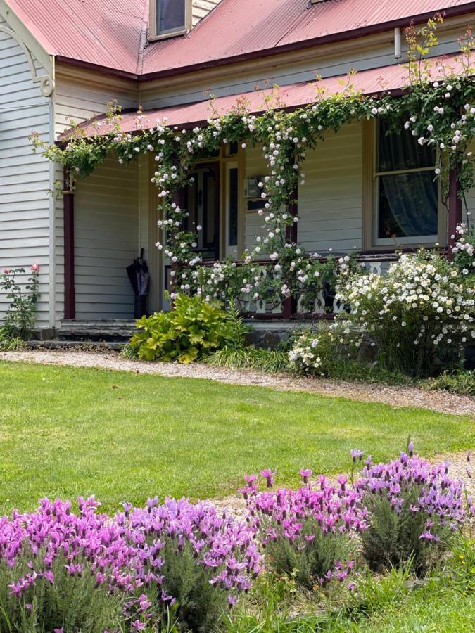 Cambridge House Breakfast & Bed Bed and Breakfast Geeveston Εξωτερικό φωτογραφία