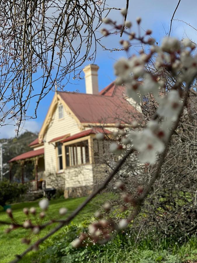 Cambridge House Breakfast & Bed Bed and Breakfast Geeveston Εξωτερικό φωτογραφία