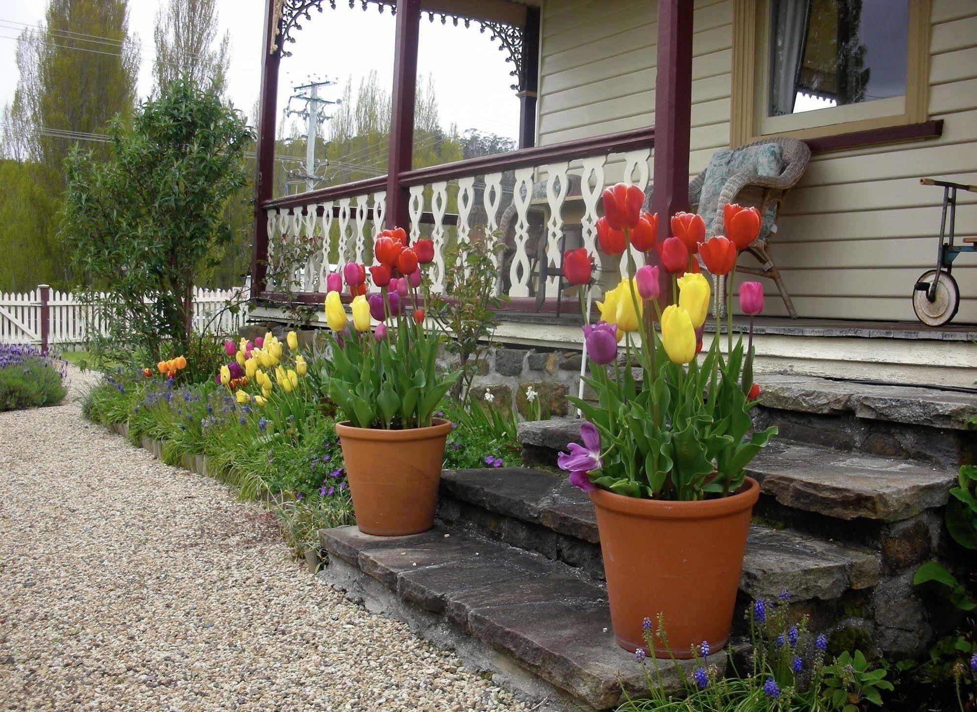 Cambridge House Breakfast & Bed Bed and Breakfast Geeveston Εξωτερικό φωτογραφία