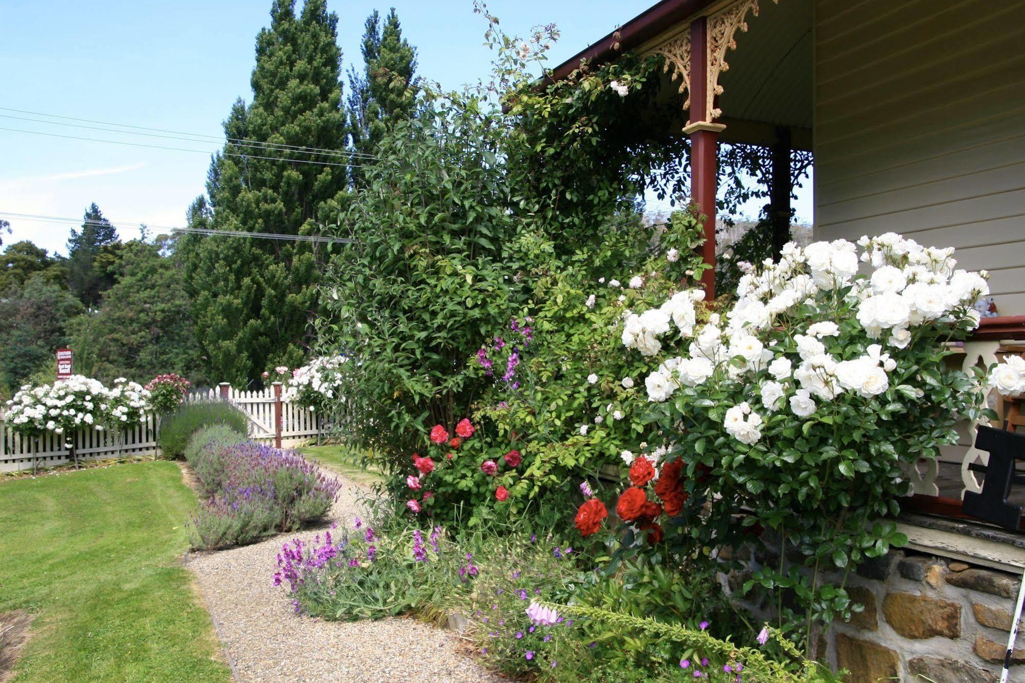 Cambridge House Breakfast & Bed Bed and Breakfast Geeveston Εξωτερικό φωτογραφία